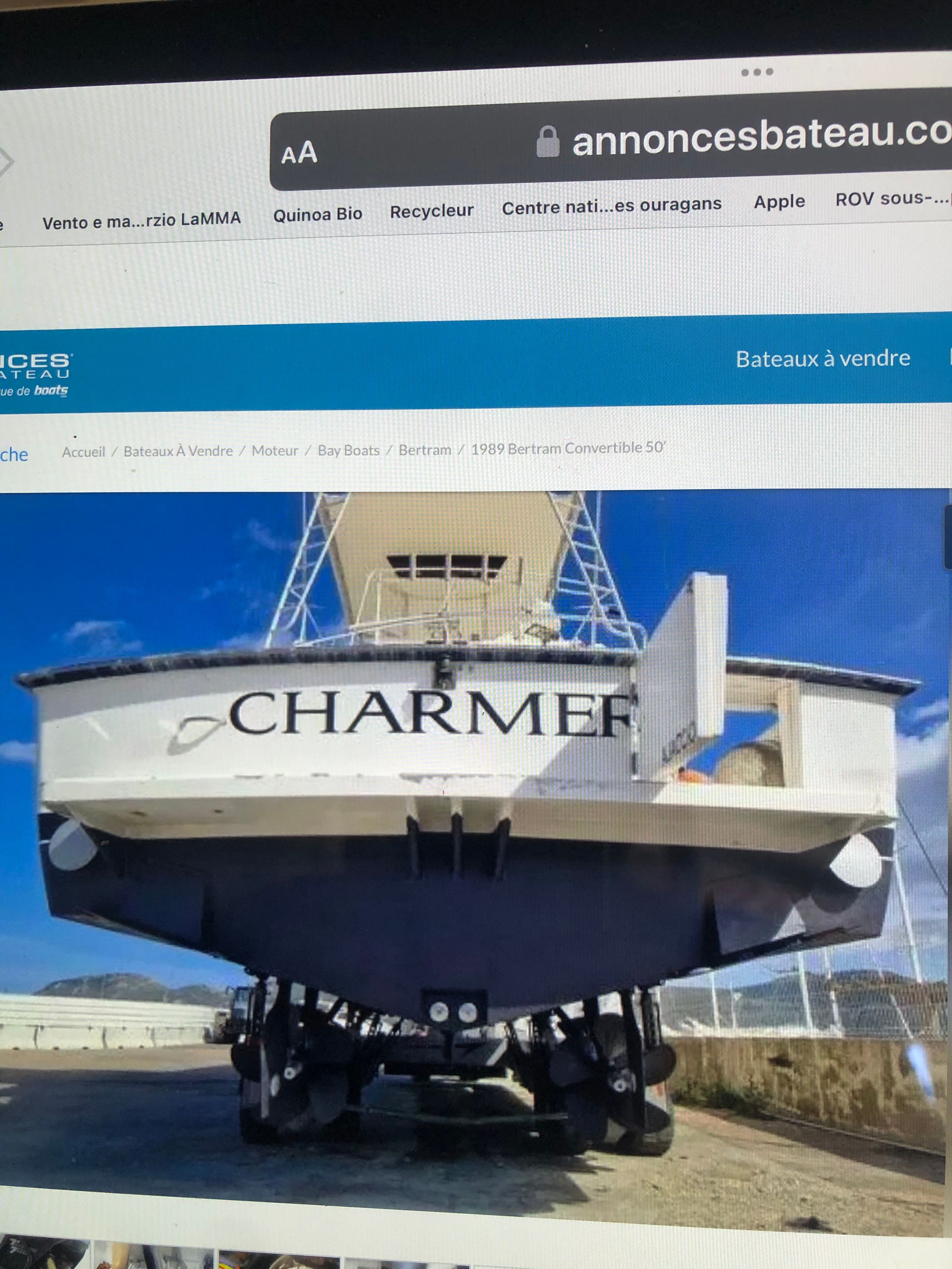 1989 Bertram Convertible 50’