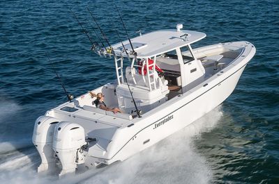 Everglades 335cc