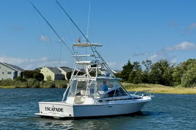 Blackfin 29 Combi