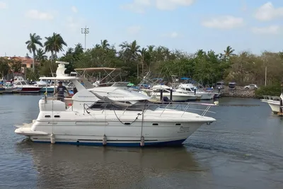 Carver Cruiser