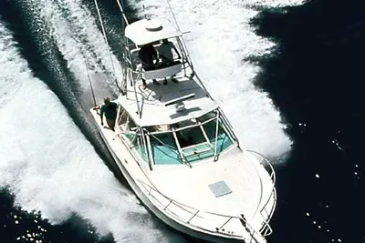 Cabo 31 Express