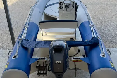 2010 Zodiac Medline