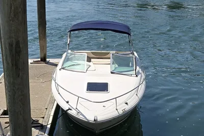 Sea Ray Weekender