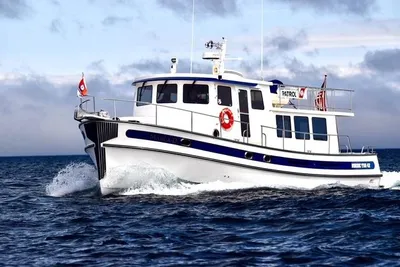 Nordic Tug 42