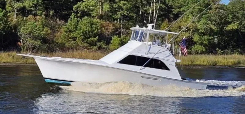 The Dog Patch Yacht Photos Pics 