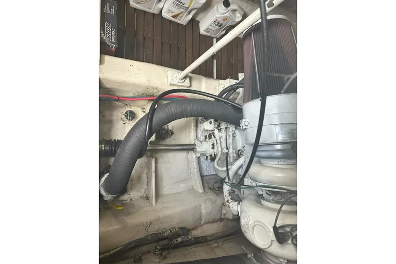 The Dog Patch Yacht Photos Pics 