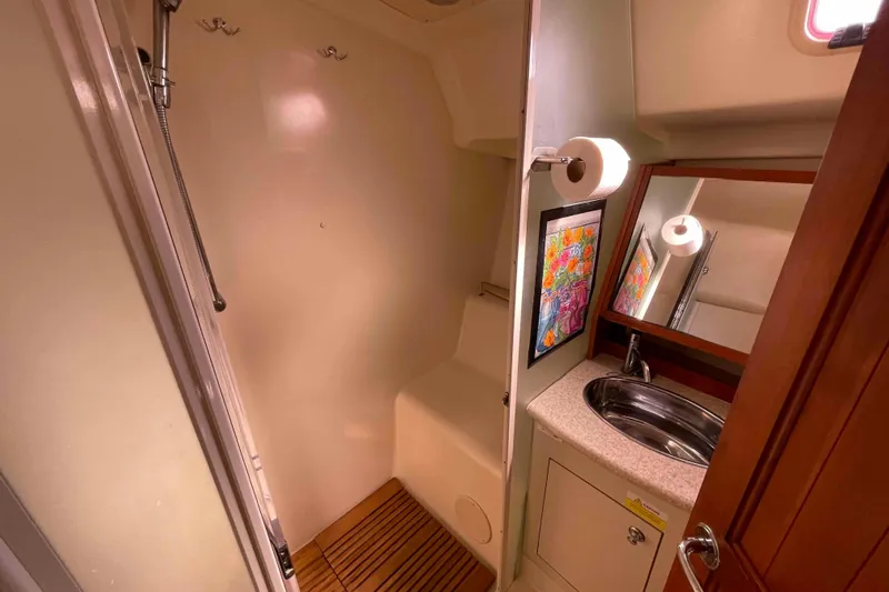 Snail'n Yacht Photos Pics 2010 Hunter 45 Center Cockpit bathroom with shower, sink, and mirror.