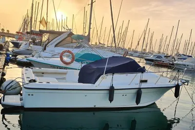 2007 Bayliner 2052 Trophy Walkaround