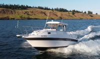 2019 Campion 822 Explorer