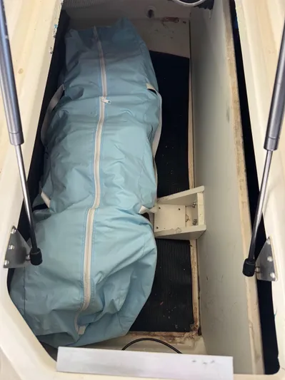  Yacht Photos Pics Storage compartment of 2020 Sea Ray 290SDX boat with blue cover inside.