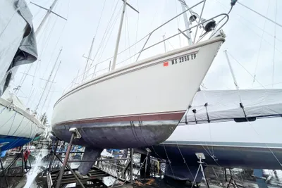 Catalina 36