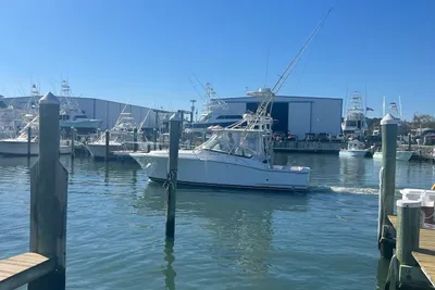 2004 Luhrs Open