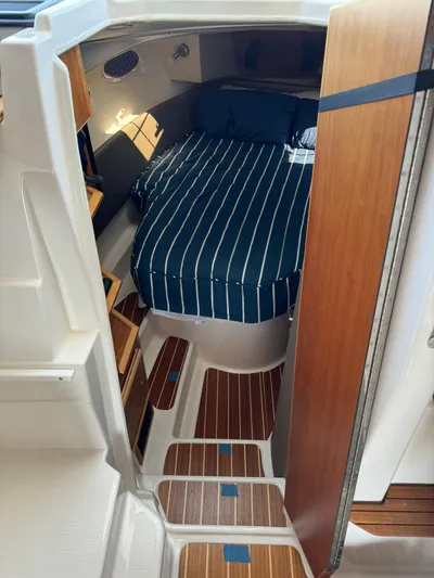 Watts Up Yacht Photos Pics 