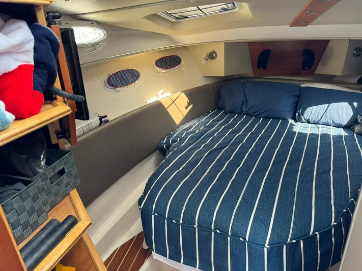 Watts Up Yacht Photos Pics 