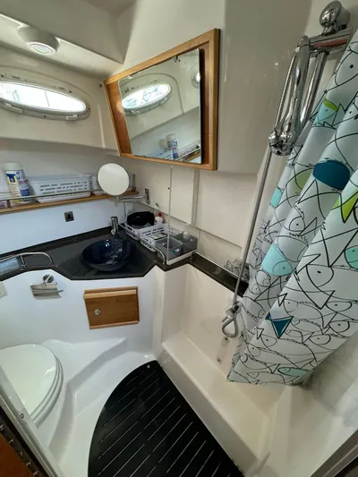 Watts Up Yacht Photos Pics 