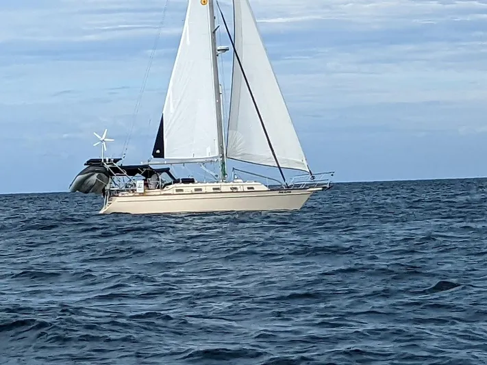 Sea Lyon Yacht Photos Pics 