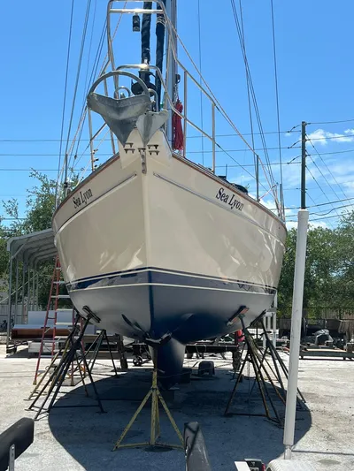 Sea Lyon Yacht Photos Pics 