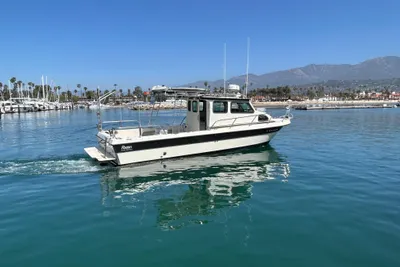 Radon 29 Sport Fish