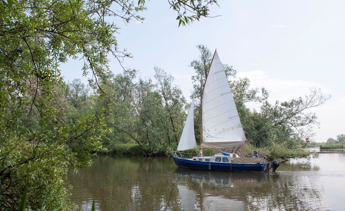 2000 Custom zeilboot