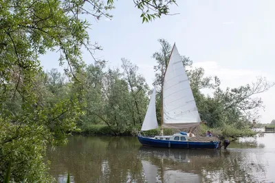 2000 Custom zeilboot