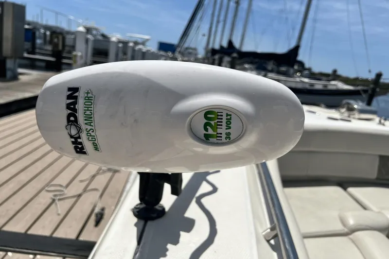 Purr-fect Cat Yacht Photos Pics 