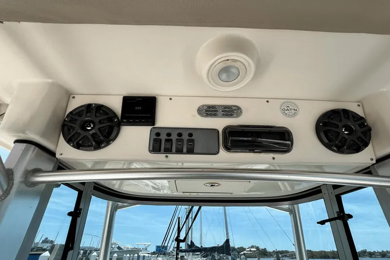 Purr-fect Cat Yacht Photos Pics 