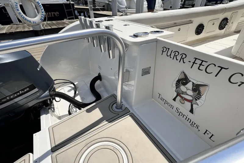 Purr-fect Cat Yacht Photos Pics 