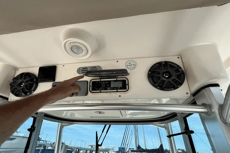 Purr-fect Cat Yacht Photos Pics 