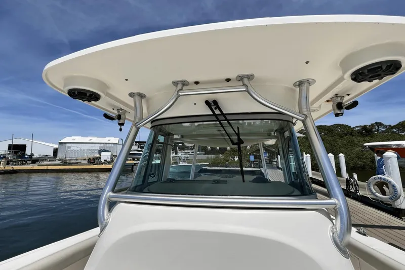 Purr-fect Cat Yacht Photos Pics 