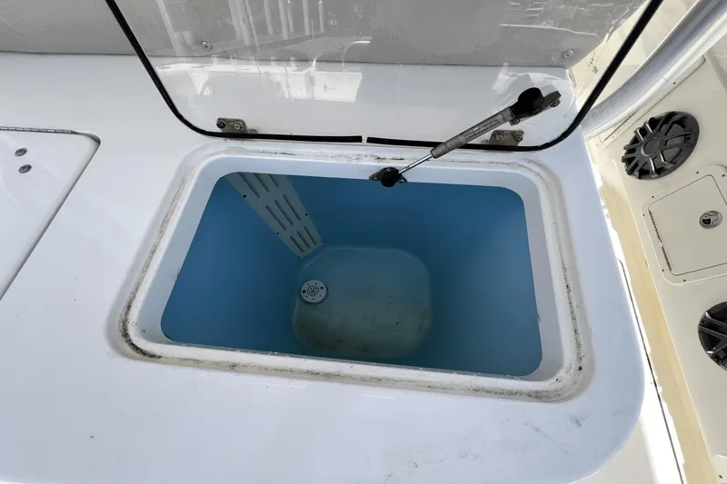 Purr-fect Cat Yacht Photos Pics 