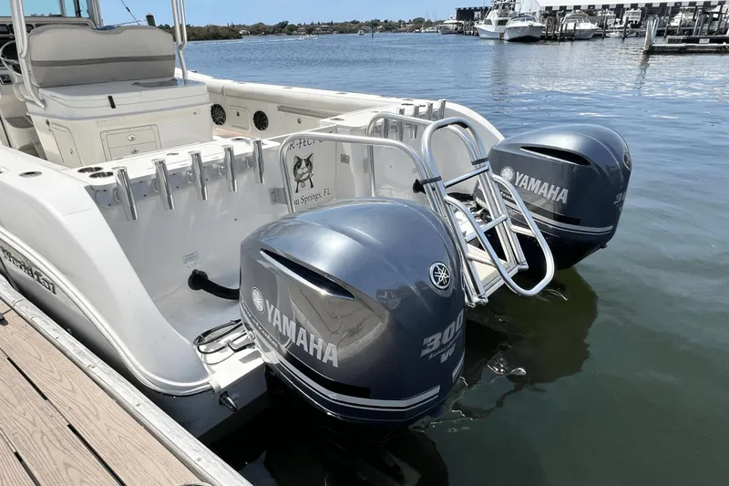 Purr-fect Cat Yacht Photos Pics 