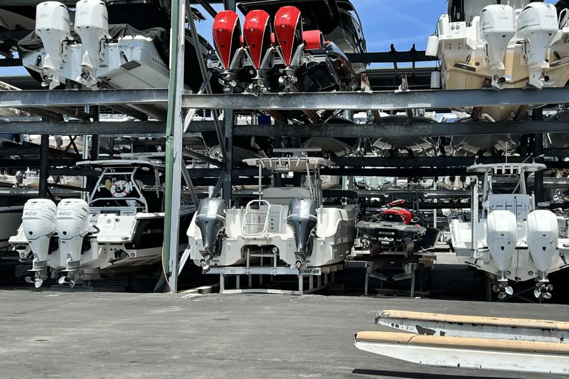 Purr-fect Cat Yacht Photos Pics 