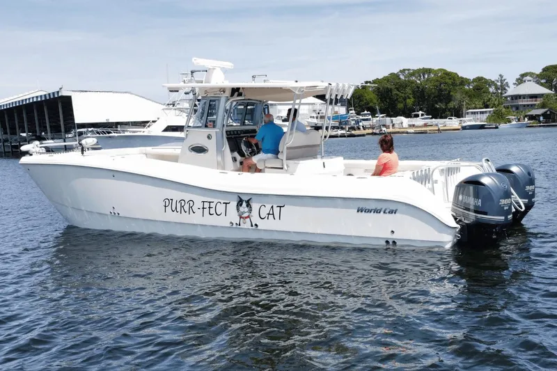 Purr-fect Cat Yacht Photos Pics 