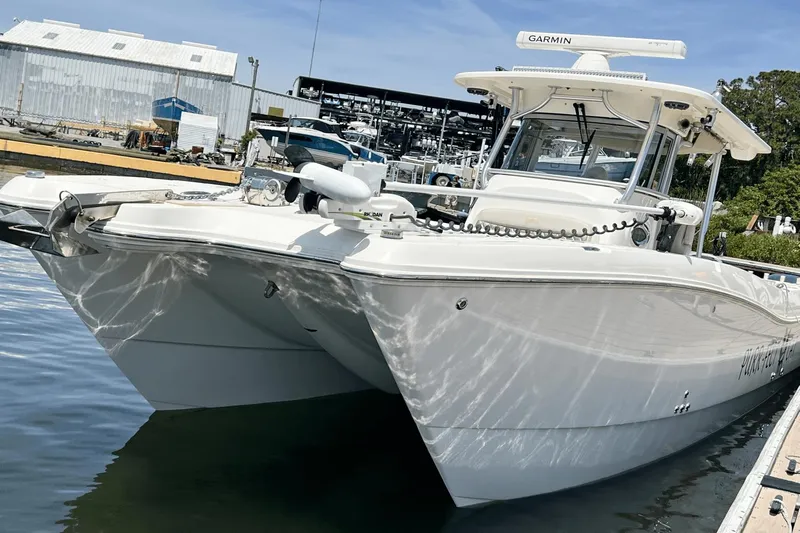 Purr-fect Cat Yacht Photos Pics 