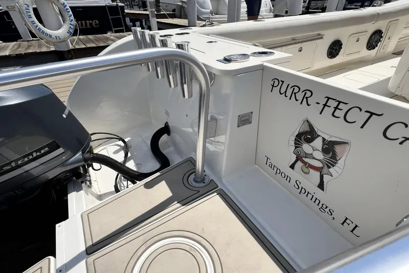 Purr-fect Cat Yacht Photos Pics 