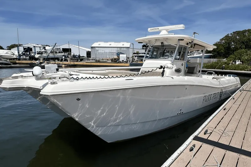 Purr-fect Cat Yacht Photos Pics 