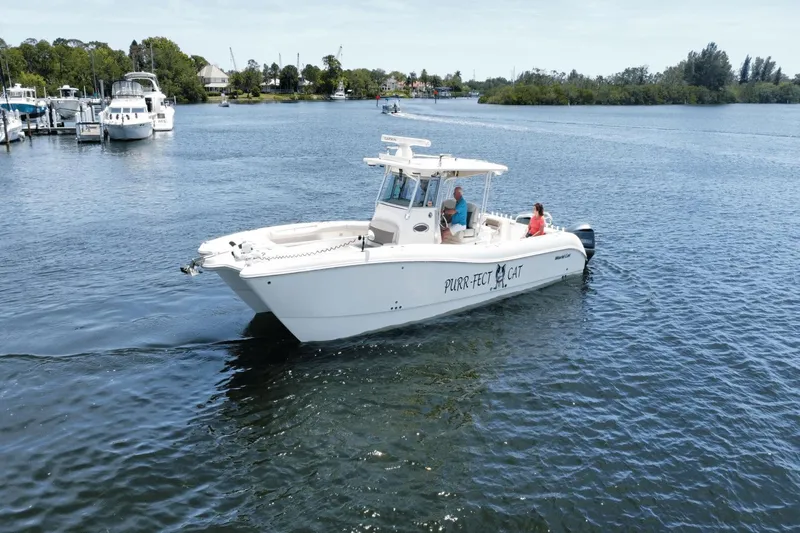 Purr-fect Cat Yacht Photos Pics 