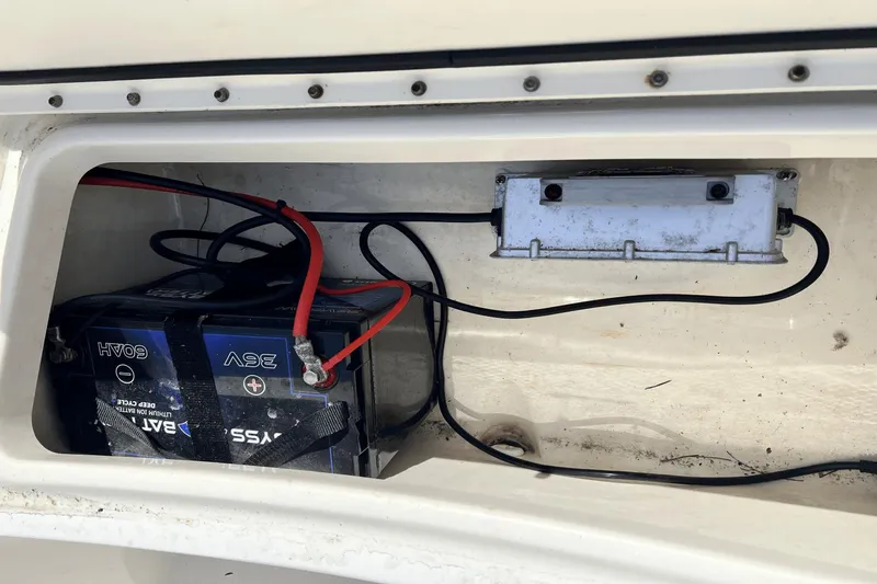 Purr-fect Cat Yacht Photos Pics 