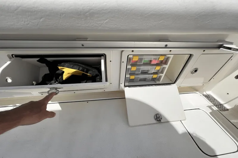 Purr-fect Cat Yacht Photos Pics 