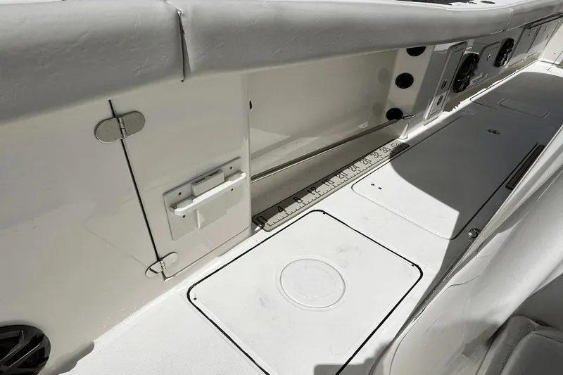 Purr-fect Cat Yacht Photos Pics 