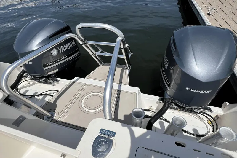 Purr-fect Cat Yacht Photos Pics 