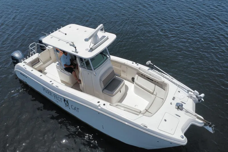 Purr-fect Cat Yacht Photos Pics 