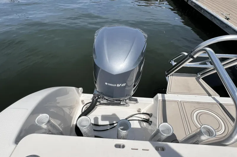 Purr-fect Cat Yacht Photos Pics 