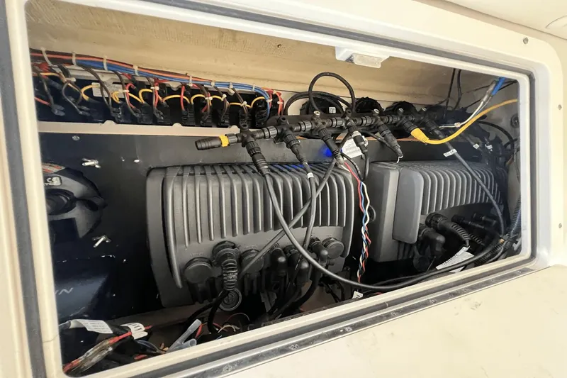 Purr-fect Cat Yacht Photos Pics 