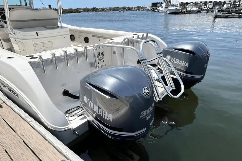 Purr-fect Cat Yacht Photos Pics 