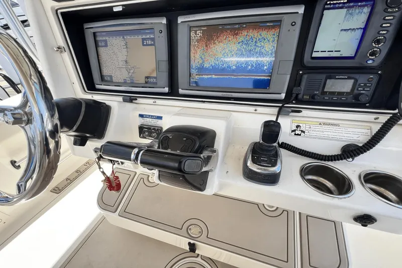 Purr-fect Cat Yacht Photos Pics 