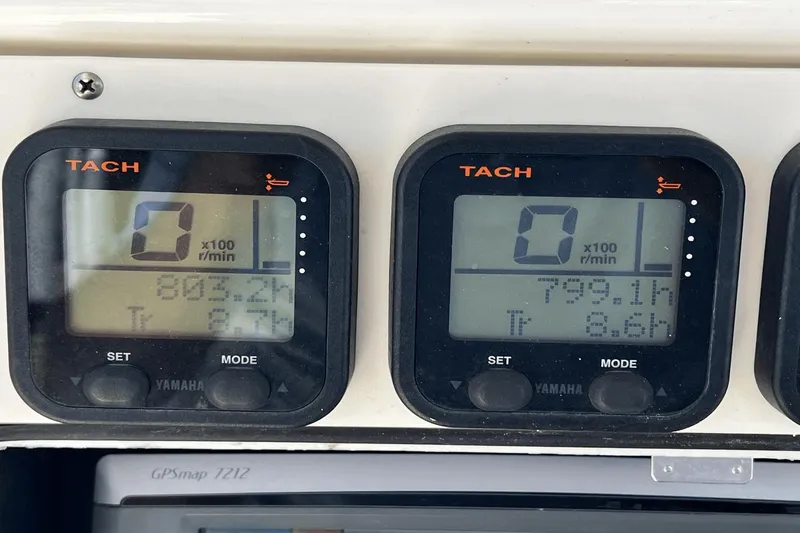 Purr-fect Cat Yacht Photos Pics 