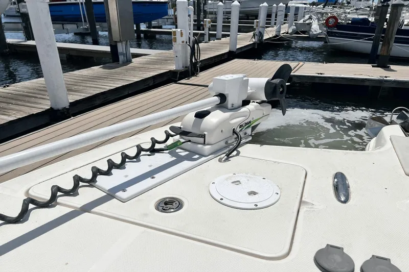 Purr-fect Cat Yacht Photos Pics 