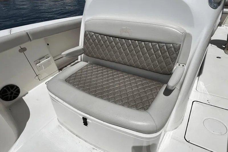 Purr-fect Cat Yacht Photos Pics 