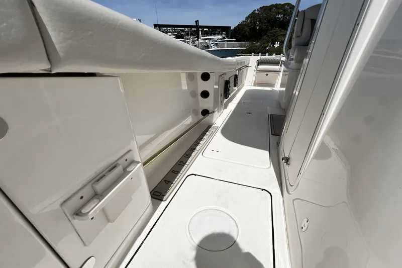 Purr-fect Cat Yacht Photos Pics 